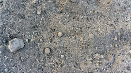 Ground in park on grass in the morning, below zero temperature. Top view background.