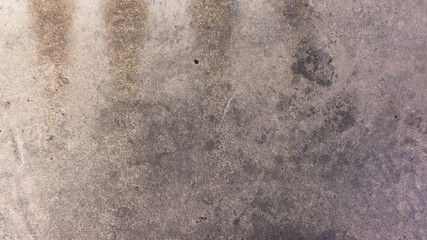 Stock macro photo of the texture of wood