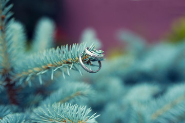 wedding ring on a twig