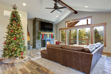 Living room interior with Christmas decor
