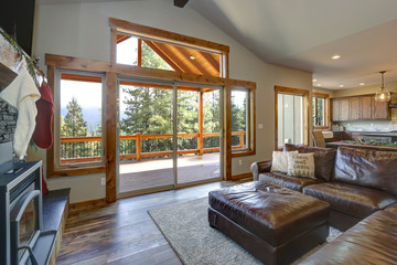 Living room interior with vaulted ceiling