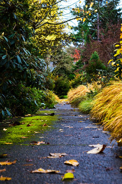 Footpaths and Sidewalks