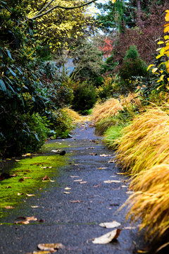 Footpaths and Sidewalks