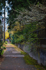 Fototapeta premium Footpaths and Sidewalks