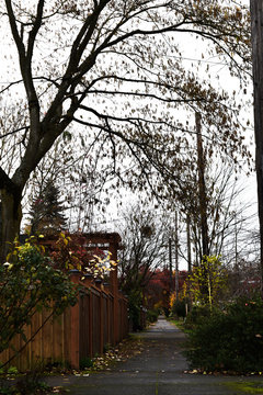 Footpaths and Sidewalks