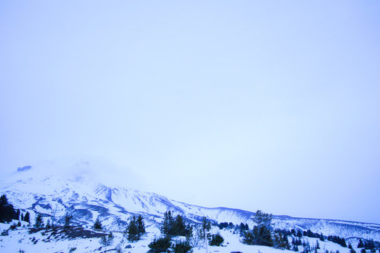 To the Mountain
