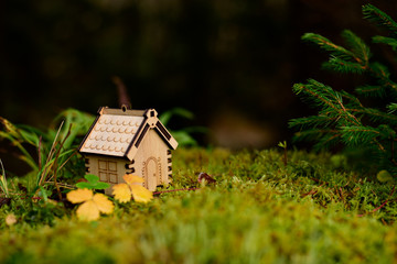 Wooden house model in the forest. concept