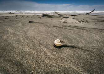 Obraz premium Beach in New Zealand