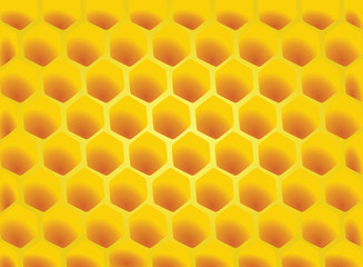 Honeycomb. vector illustration