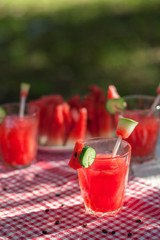 A refreshing drink made with fresh watermelon and cucumber