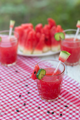 A refreshing drink made with fresh watermelon and cucumber