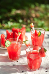 A refreshing drink made with fresh watermelon and cucumber