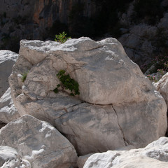 Sardinien