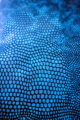 Abstract Coloured Real Snake Skin Snakeskin Animal Print Background