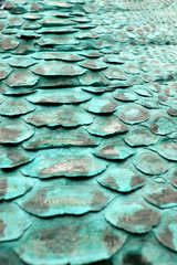 Abstract Coloured Real Snake Skin Snakeskin Animal Print Background