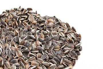 sunflower seed in heap on white background