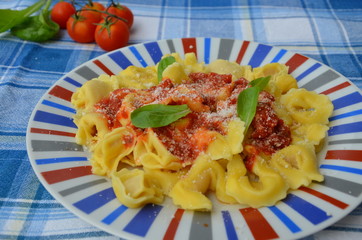 Homemade tortellini pasta with tomato sauce, herbs and garlic, basil in, topped with parmesan cheese