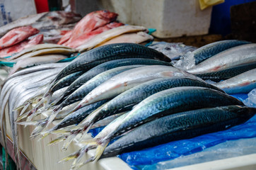 Fresh fish on sale at a market stall in Haeundae, Busan, South Korea.