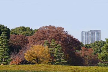 江戸城本丸跡付近の風景