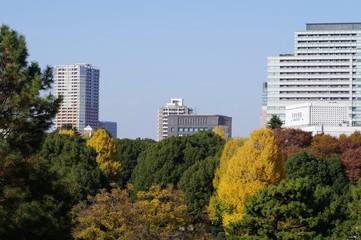 江戸城本丸跡から見た東京の都市景観