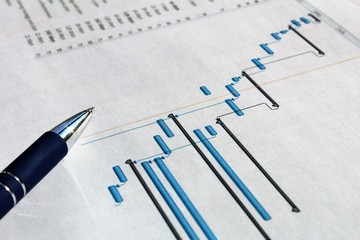 Project plan and project gantt.