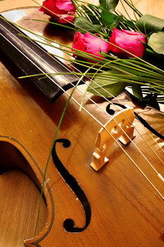 Violoncello cello romantic music instrument