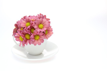 コーヒーカップに挿した菊