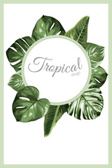 Exotic tropical greenery decoration round circle wreath design element. Monstera philodendron jungle palm rainforest tree leaves. Text placeholder. Border frame template decoration banner promo.