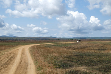 Fototapeta premium wonderful african nature Road trip by car