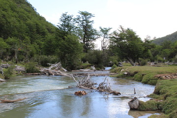 Landscape  National  Forest