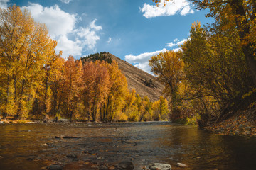 Sun Valley Idaho Fall Colors 3