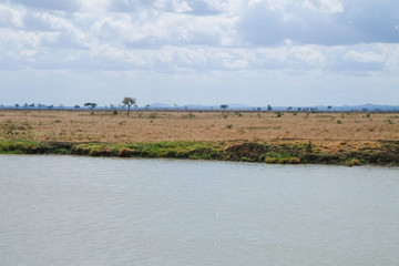 wonderful Africa wild nature Lake