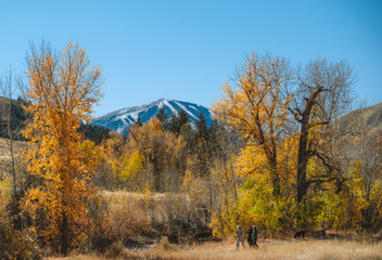 Sun Valley Idaho First Snow Fall Colors Trail 1
