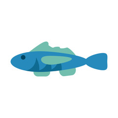 Fish seafood symbol