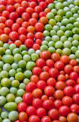 tomatoes cherry ripe and unripe stop go