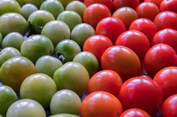 tomatoes cherry ripe and unripe