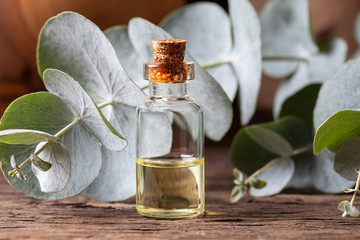 A bottle of essential oil with fresh eucalyptus leaves