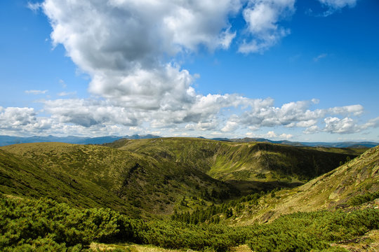 Stunning view to the mountains covered with green grass and bush 