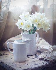 Classic still life with tender daffodils in a white vase against window,  faded colors