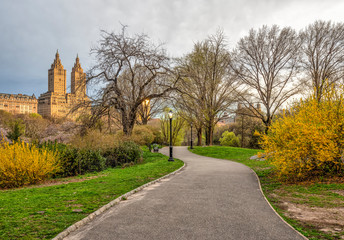 Central Park, New York City in spring