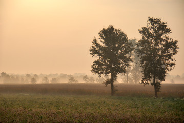 Morning fog blankets the Po valley