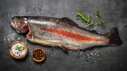 Raw salmon fish whole with ingredients for cookings on black.