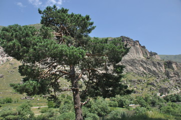 Old rock town in Vardzia, Georgia. The niches of the church and living quarters carved in a rock wall.