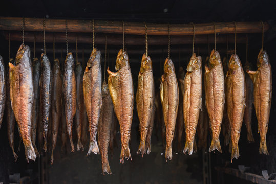 Fish hot smoking in large traditional oven