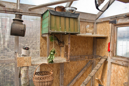 Huhn und K&uuml;cken im selbsgebauten Stall