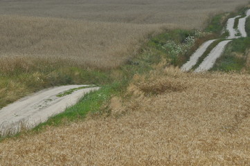 A country road through farmland. Sandy hills on the way. Country landscape.