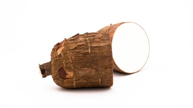 Two yuca tuber halves. Rotating on the turntable. Isolated on the white background. Close-up. Macro.