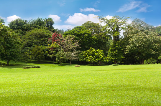 Botanical Garden of Peradeniya, Kandy,"Royal Botanical Gardens, asias most beautiful botanical Garden.