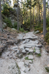 A rocky path to the rocks.