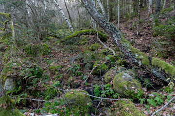 Les sources sulfureuses of Merens-les-vals, Ariège, Occitanie, France.